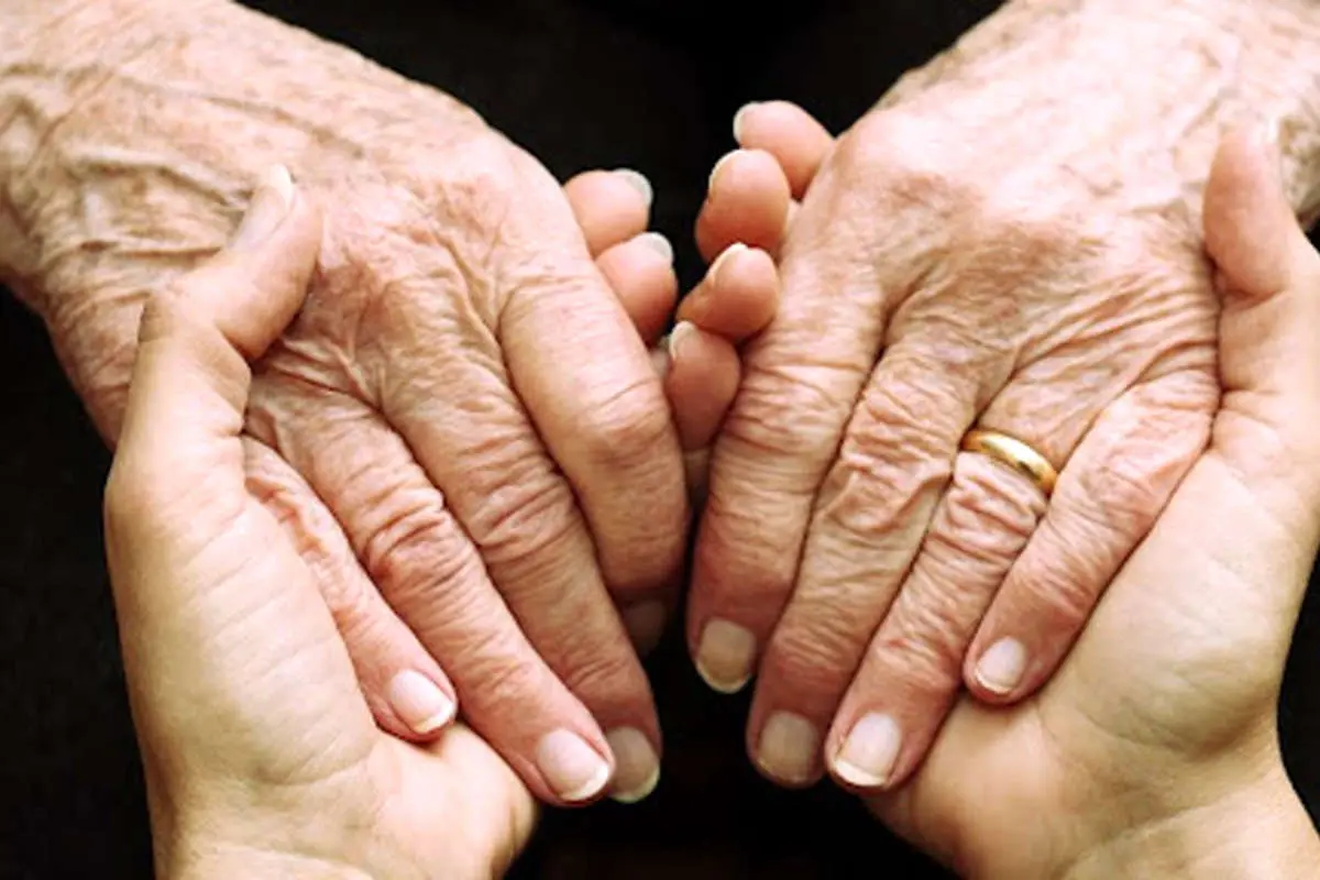 شوگر ددی و شوگر مامی