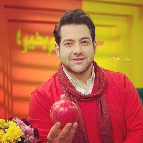 شاهین جمشیدی در تلویزیون