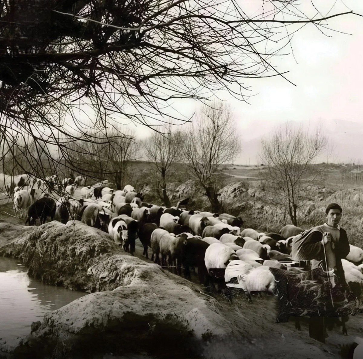 بلوار کشاورز تهران