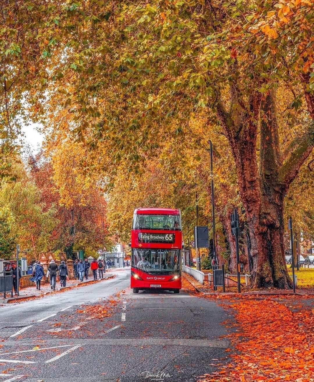 پاییز زیبای لندن