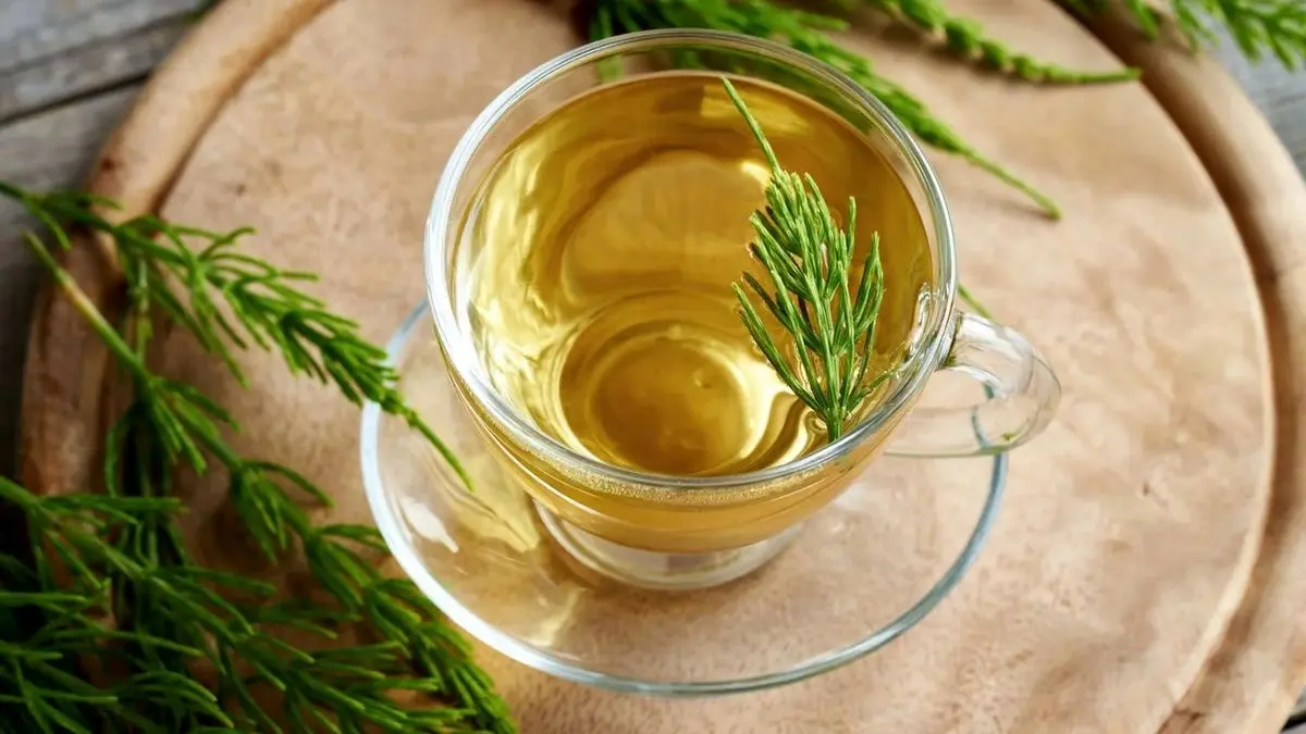 هفت مزیت اثبات‌شده گیاه دم‌اسب برای بدن