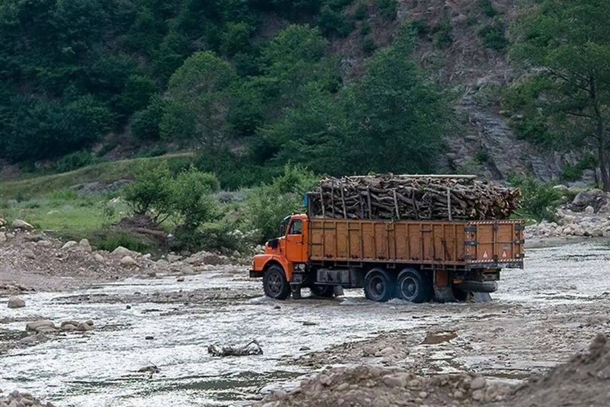 جنگل های هیرکانی جنگل های هیرکانی