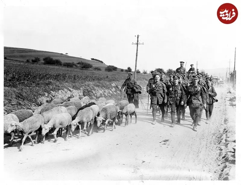 آلبوم تازه از تصاویر جنگ جهانی اول