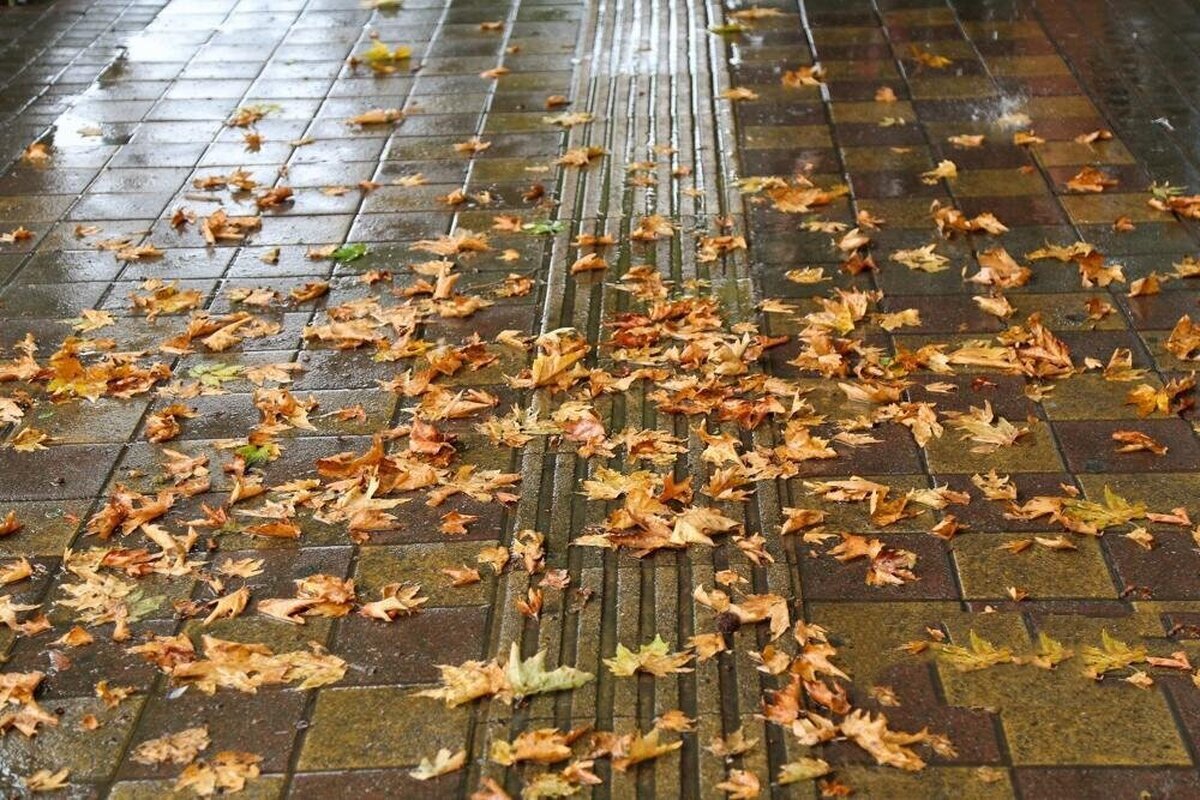 بارش باران در ایران