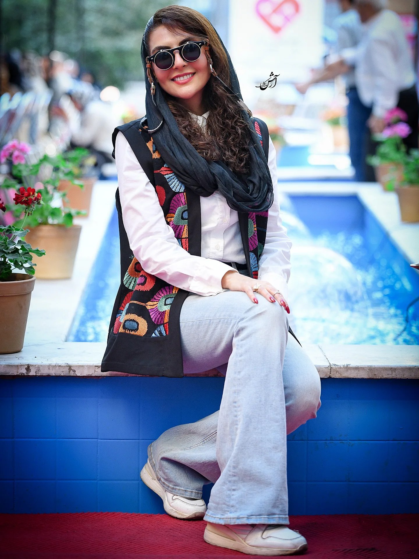 شری سریال پایتخت