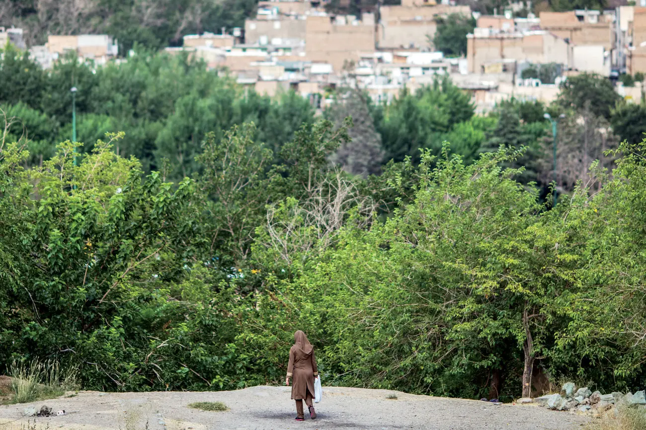 پرونده شکابت از پژمان جمشیدی