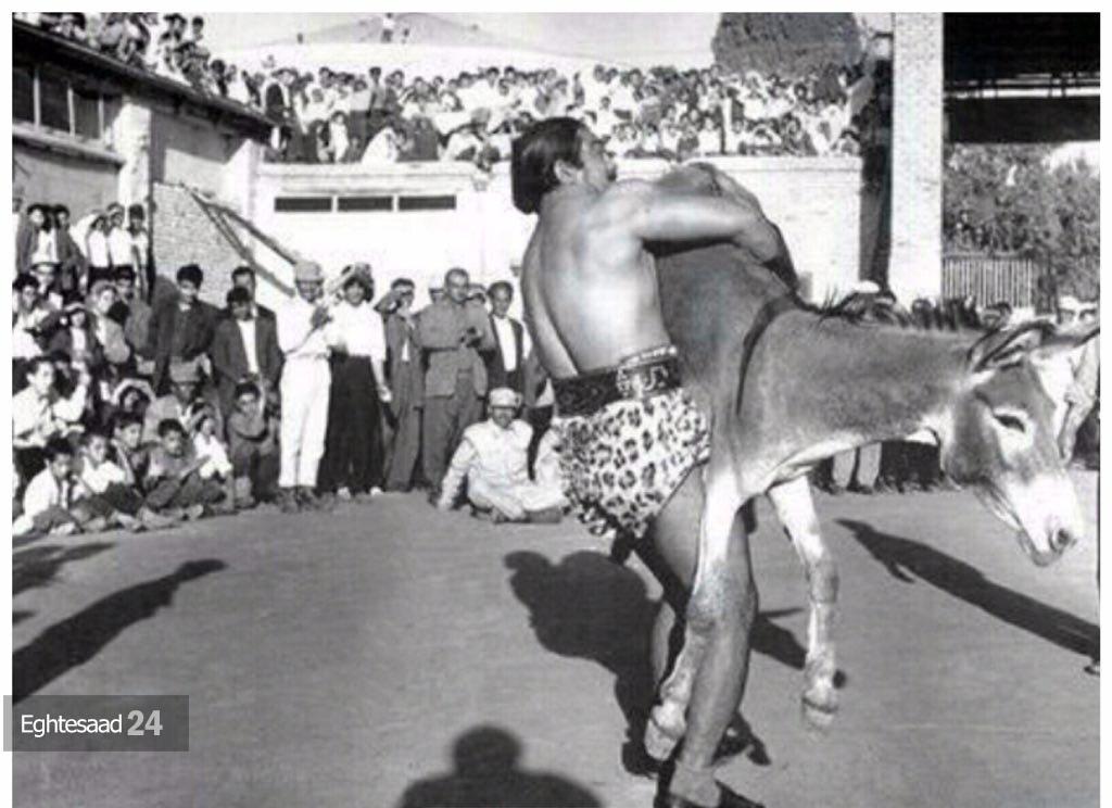 معرکه گیری با خر