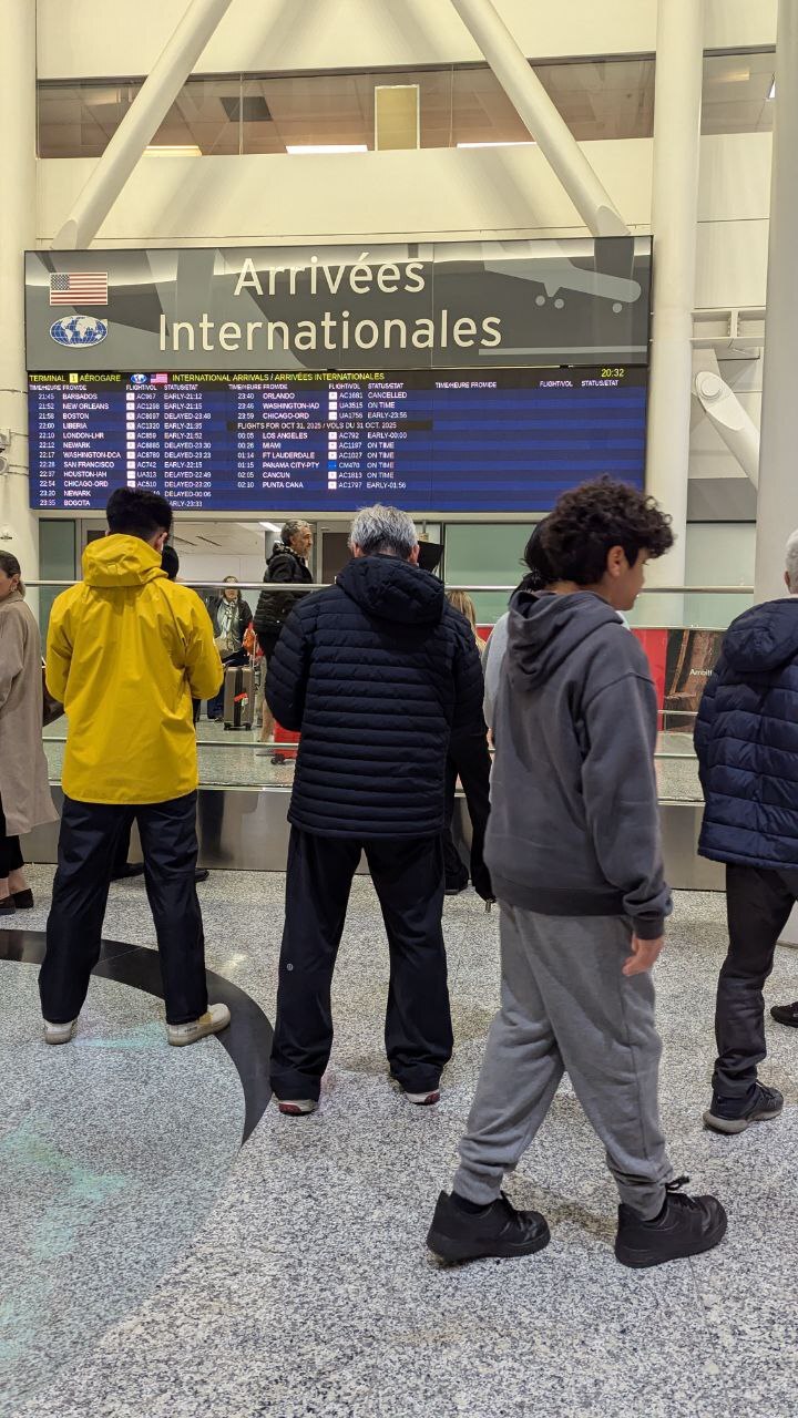 پژمان جمشیدی در تورنتو