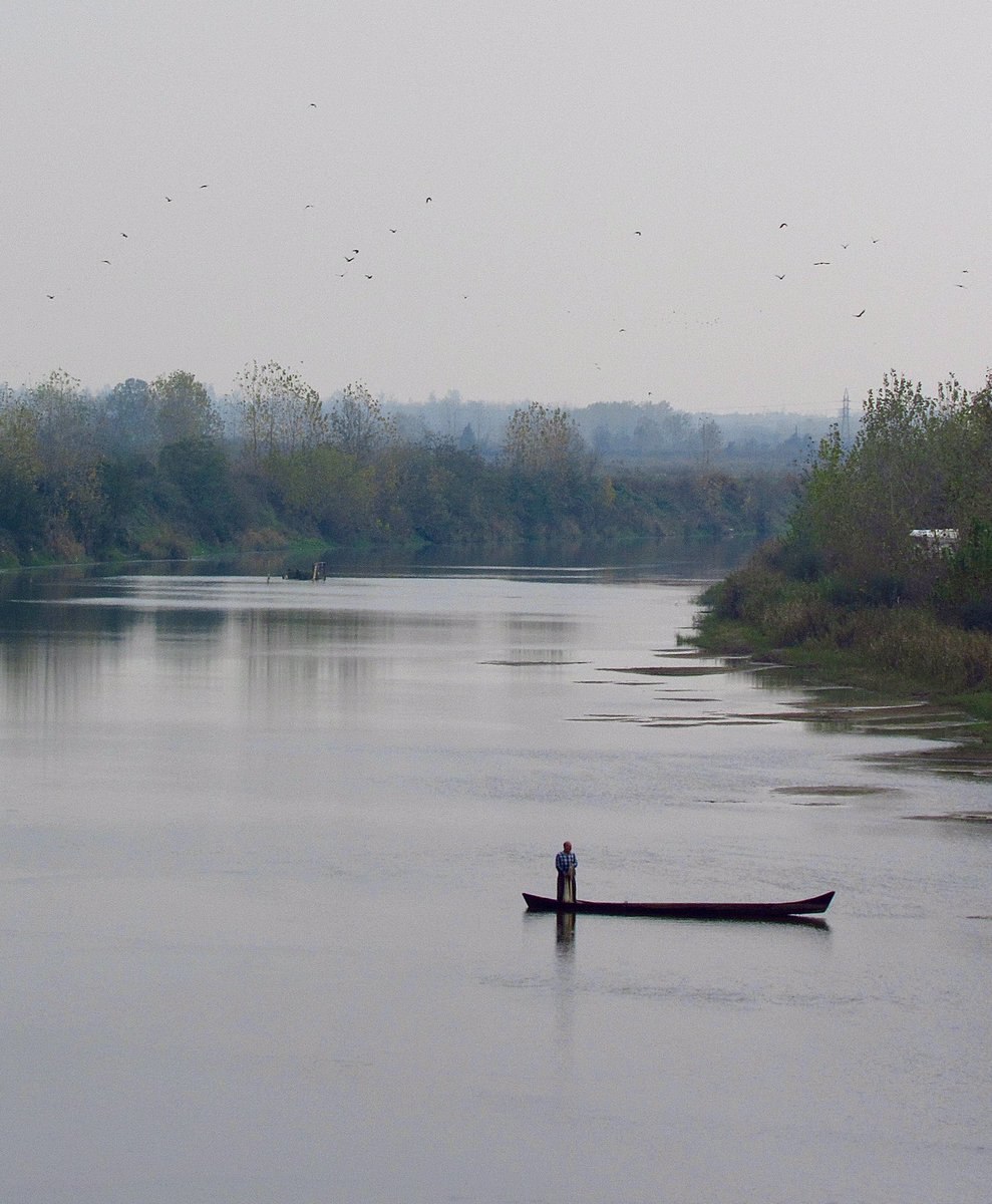رودخانه سفید رود