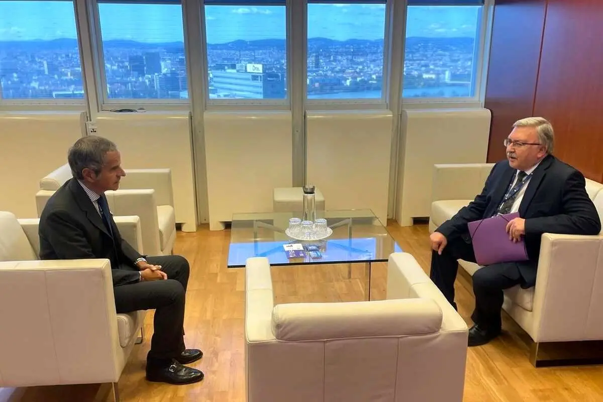 دیدار اولیانوف و گروسی با محوریت ایران