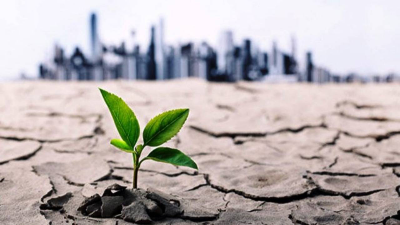 پاییزِ بیباران؛ رودرویی ایران با بدترین خشکسالی ۵۷ سال اخیر/ بیآب، بینان، بیامان؛ ایران در آستانه فروپاشی امنیت غذایی و اجتماعی بحران آب در ایران