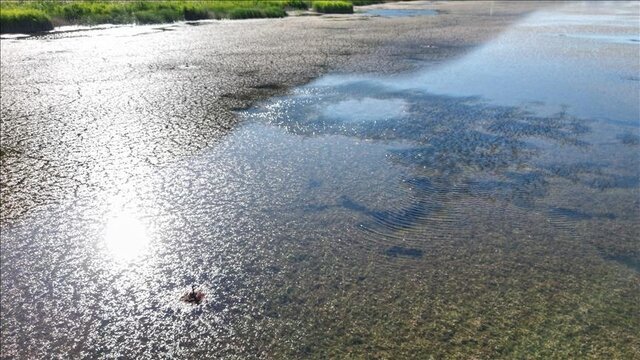 پاییزِ بیباران؛ رودرویی ایران با بدترین خشکسالی ۵۷ سال اخیر/ بیآب، بینان، بیامان؛ ایران در آستانه فروپاشی امنیت غذایی و اجتماعی کم آبی ایران