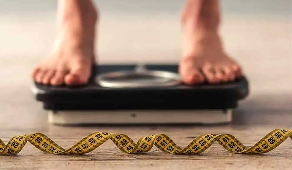 رد باور کاهش چربی شکم با دنبه گوسفندی