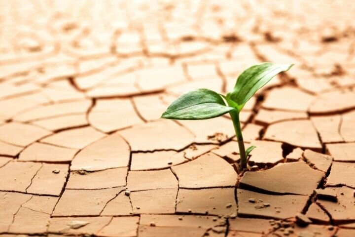 فرونشست رمین فرونشست رمین