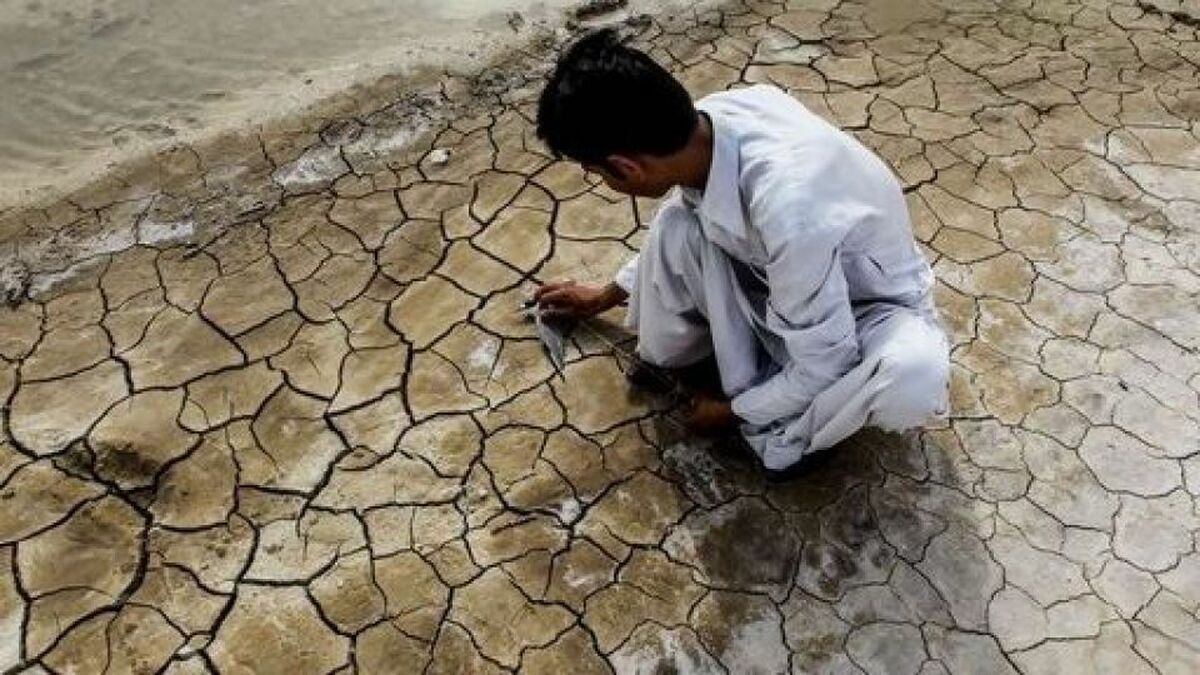 تنش آبی تنش آبی