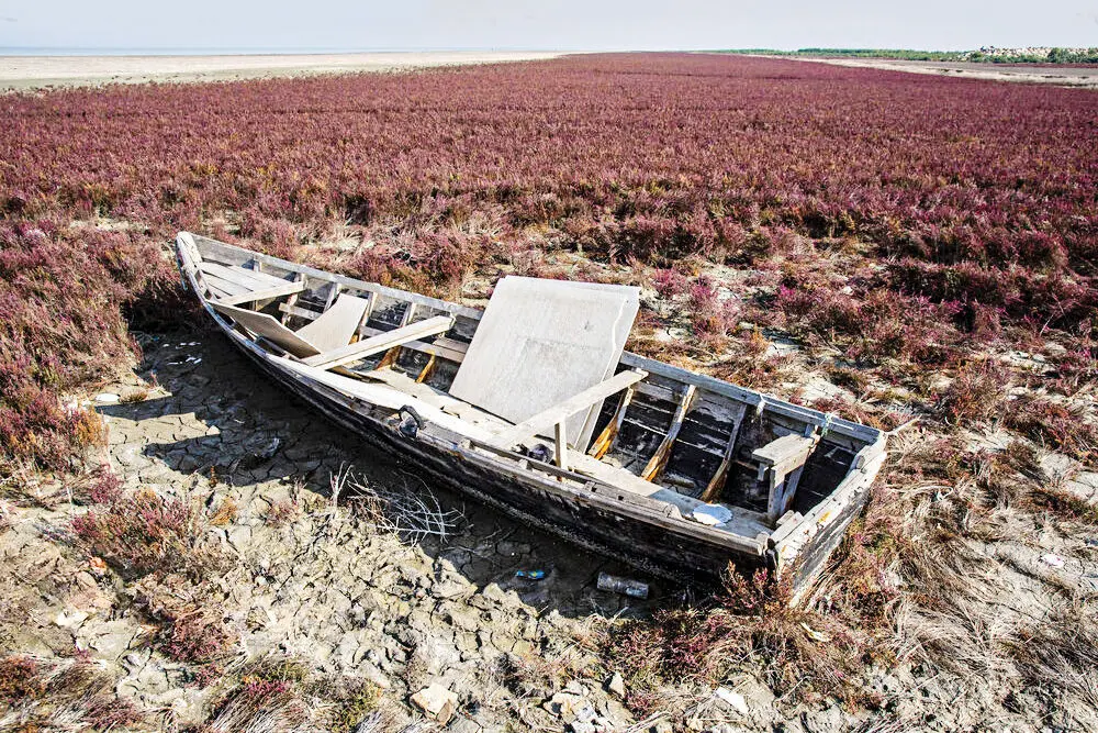 تالاب انزلی تالاب انرلی