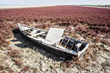 ۱۴۰۵ سال سخت برای سبزی شمال؛ کاهش بارش‌ها و تهدید کشاورزی و جنگل‌ها در راه است