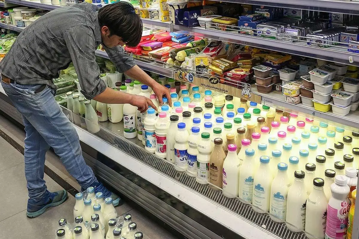 افزایش قیمت لبنیات ماست و پنیر افزایش قیمت لبنیات ماست و پنیر