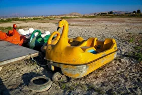 نیلوفر کرمانشاه خاموش شد