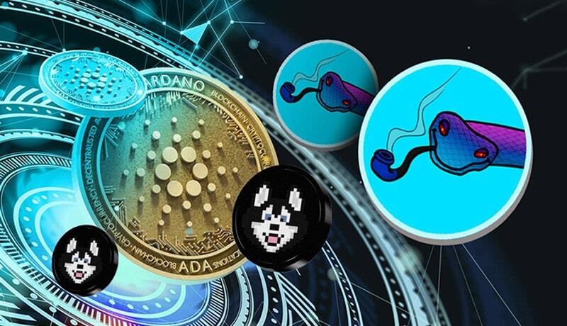 معرفی میم کوین های کاردانو