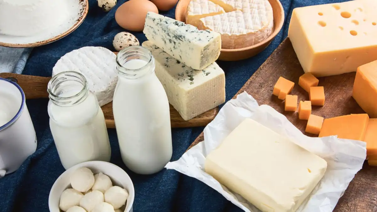 گرانی لبنیات گرانی لبنیات