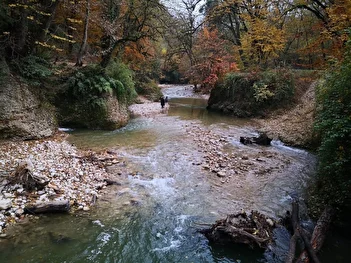 عکس/ جنگل رنگارنگ پلنگدره گیلان در لباس پاییز