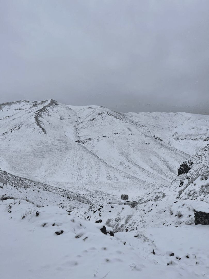 دماوند برفی