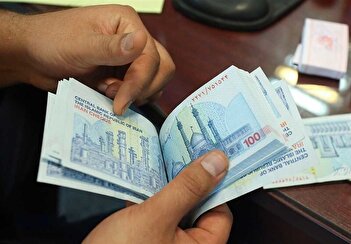 فیلم/ ادعای جنجالی درباره وام هزار میلیاردی به خانواده وزیر