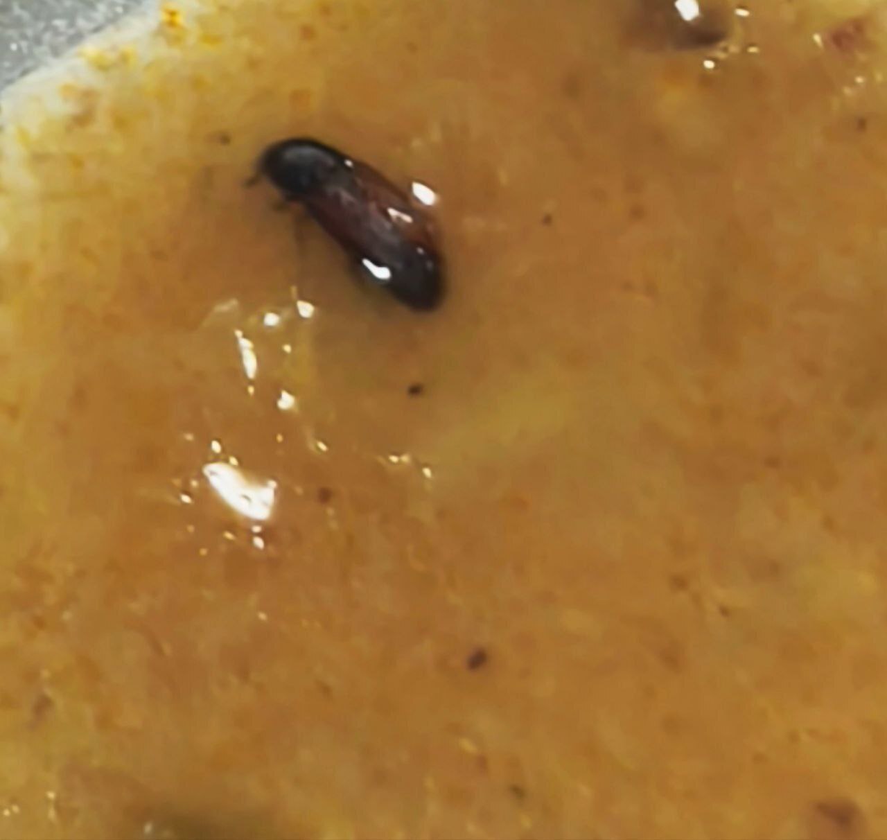 شام جنجالی در دانشگاه دولتی