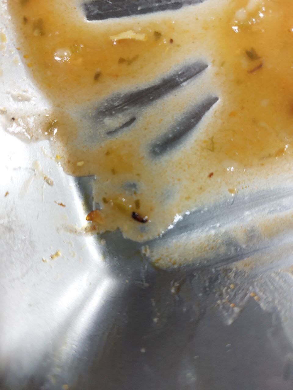 انتشار عکس سوسک در شام دانشگاه دولتی جنجال به پا کرد