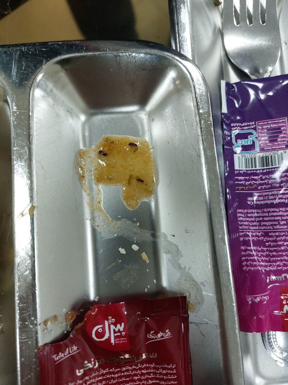 سوسک در غذای سلف دانشگاه دولتی سرو شد