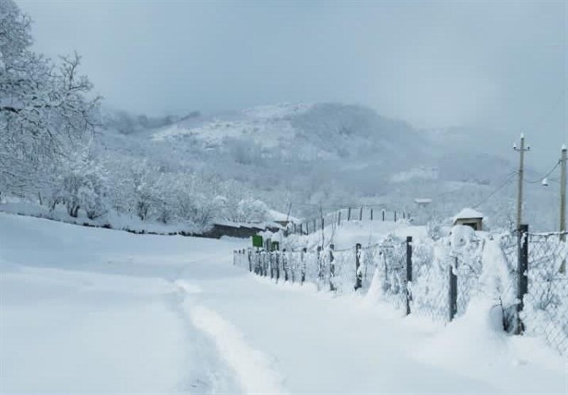 بارش سنگین برف در این استان بارش سنگین برف در این استان