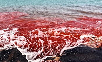 خاک سرخ و آب‌های نیلگون خلیج‌فارس رسانه‌های جهان را مجذوب کرد + عکس