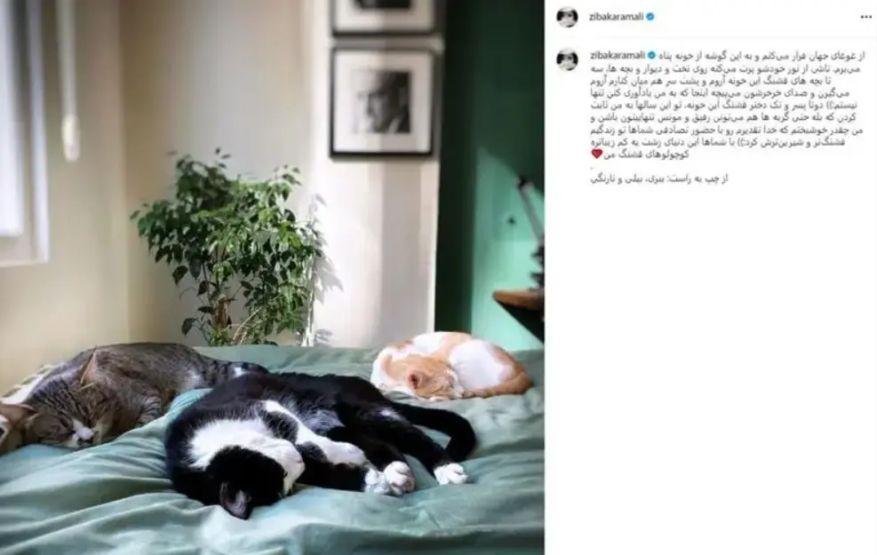 زیبا کرمعلی