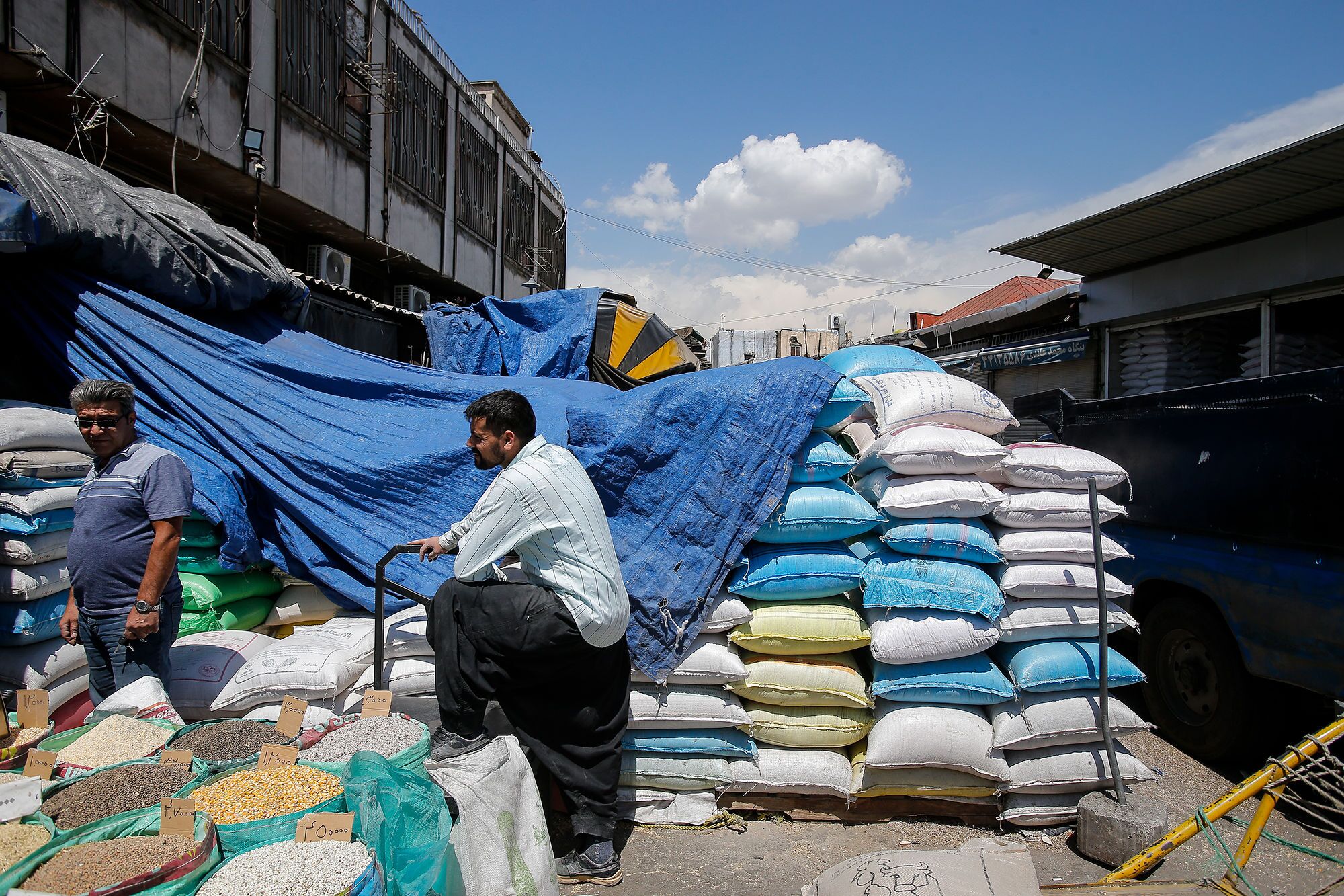 واردات برنج واردات برنج