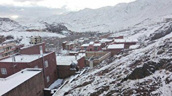 فیلم/ ذوق‌زدگی پیرزن ابیانه‌ای از بارش سنگین برف