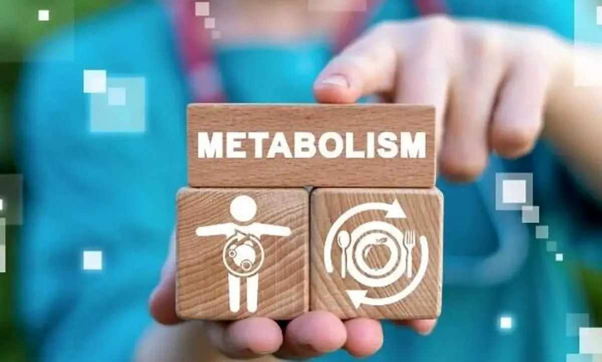 نقش عوامل مختلف در بالا و پایین رفتن متابولیسم نقش عوامل مختلف در بالا و پایین رفتن متابولیسم