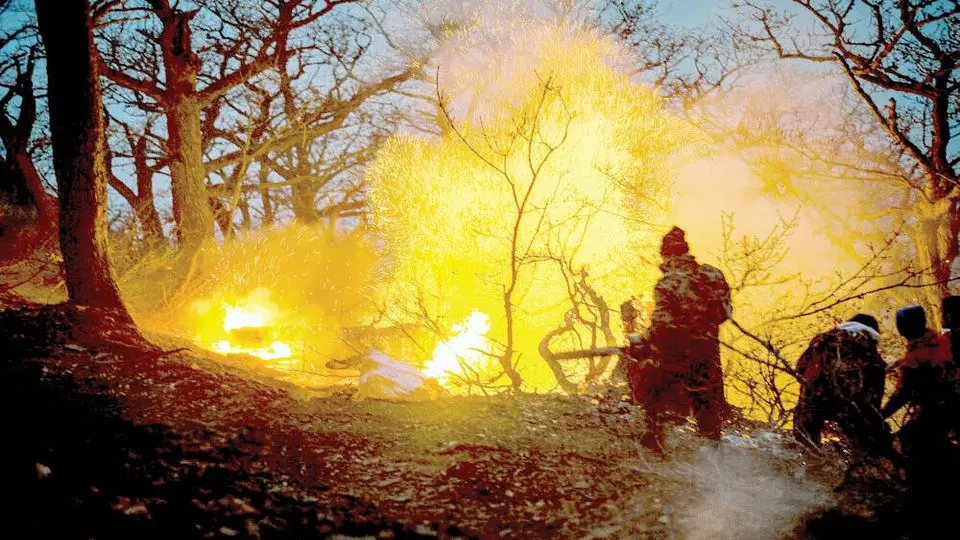 آتش سوزی جنگل