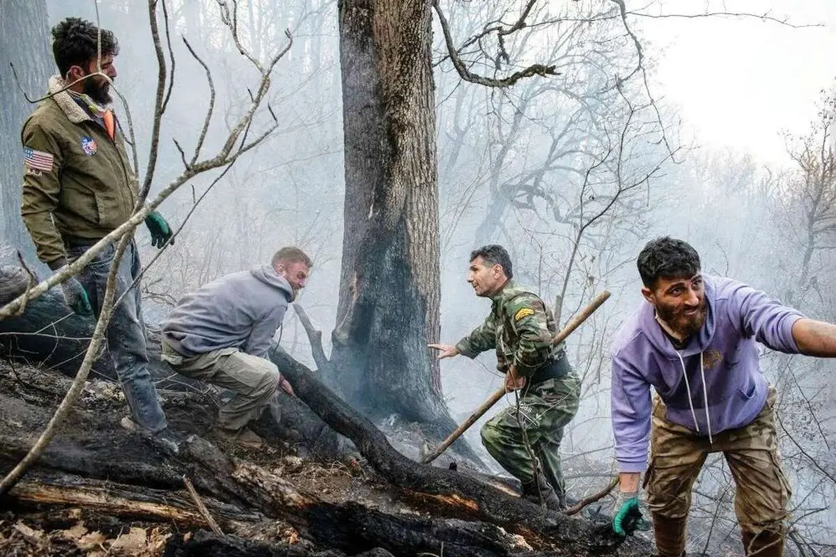 جنگل‌های هیرکانی