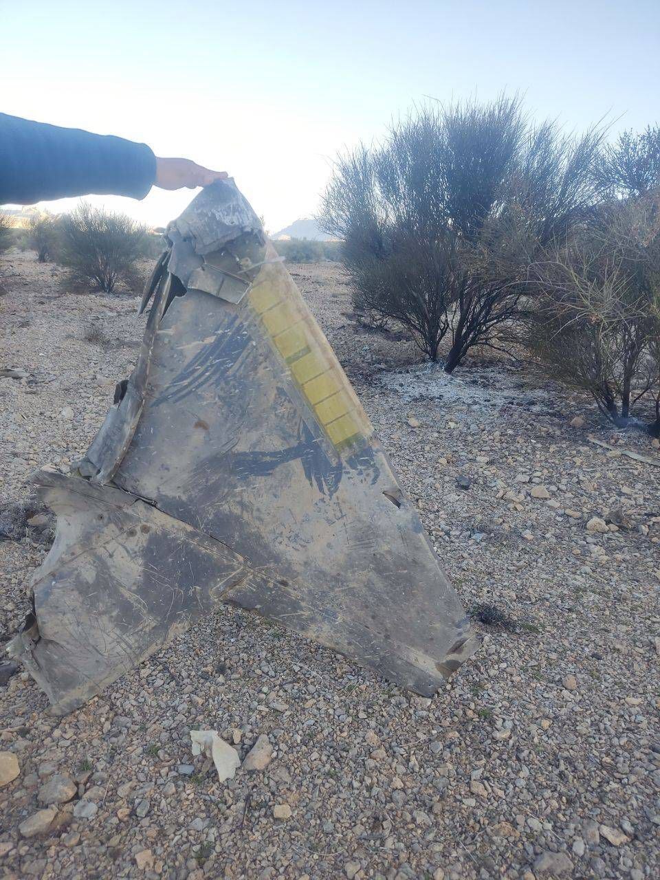 دومین جنگنده F۳۵ توسط ایران ساقط شد