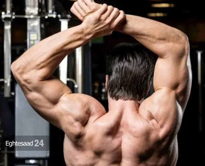 حرکت کششی بالای کمر