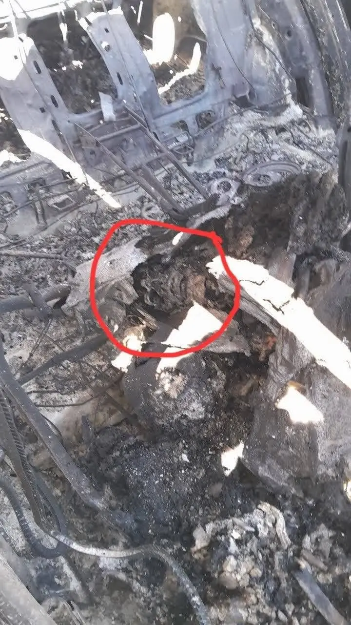 جمجمه نظامی آمریکایی