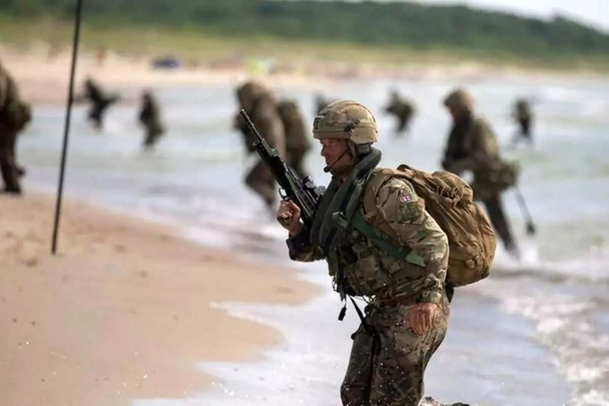 کمک ناتو به آمریکا