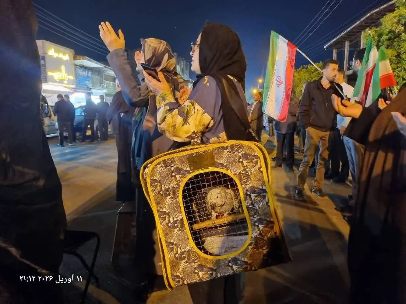 حضور طوطی در تجمعات شبانه تهران