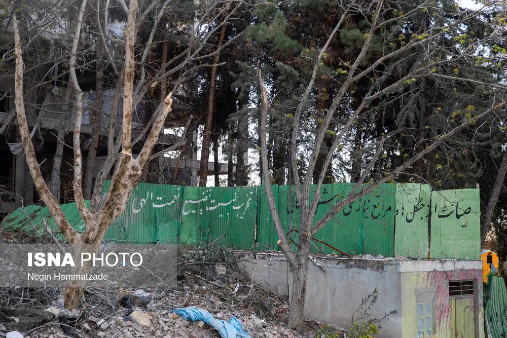 تخریب گسترده سازمان منابع طبیعی لویزان