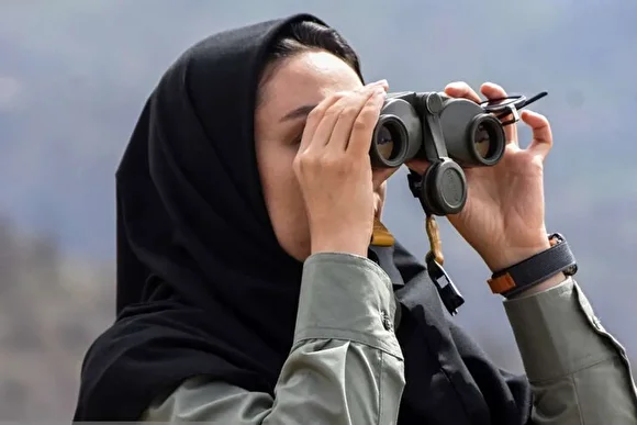 سرشماری حیات وحش جنگل‌های هیرکانی رودبارک