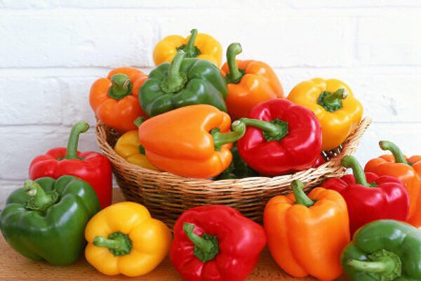 فلفل دلمه‌ای رنگی