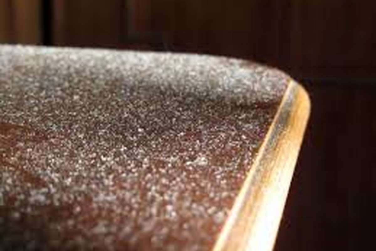 ۸ ترفند طلایی که خانه شما را به پناهگاه هوای پاک تبدیل می‌کند