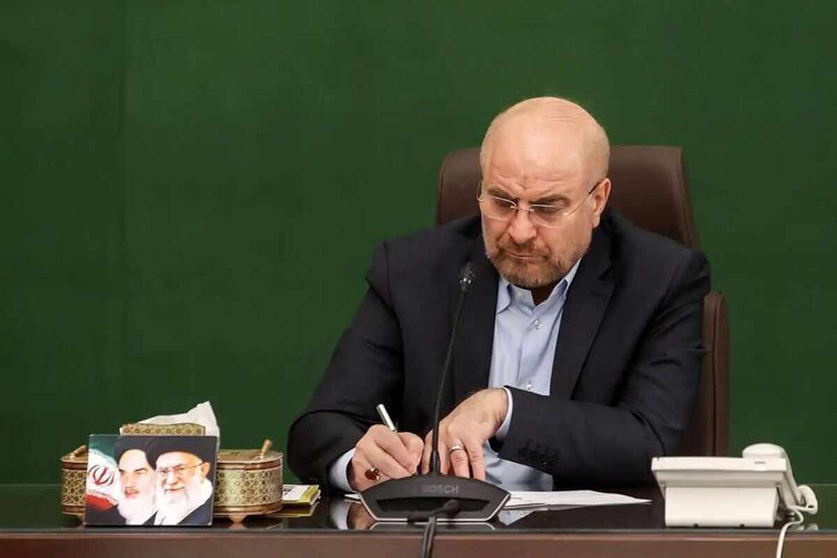 توئیت عجیب داماد حسن روحانی: ما همه قالیباف هستیم!