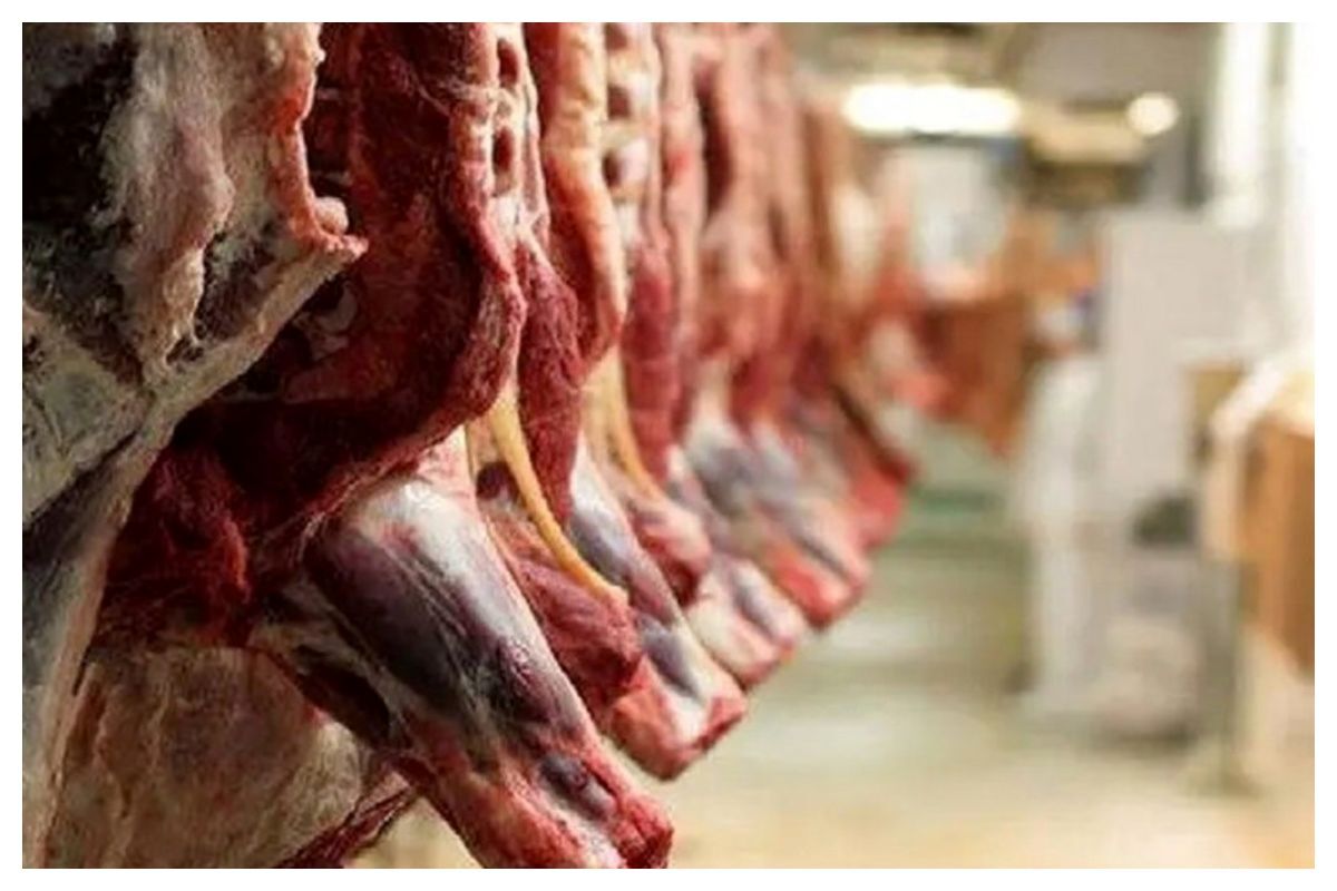 قیمت گوشت قرمز